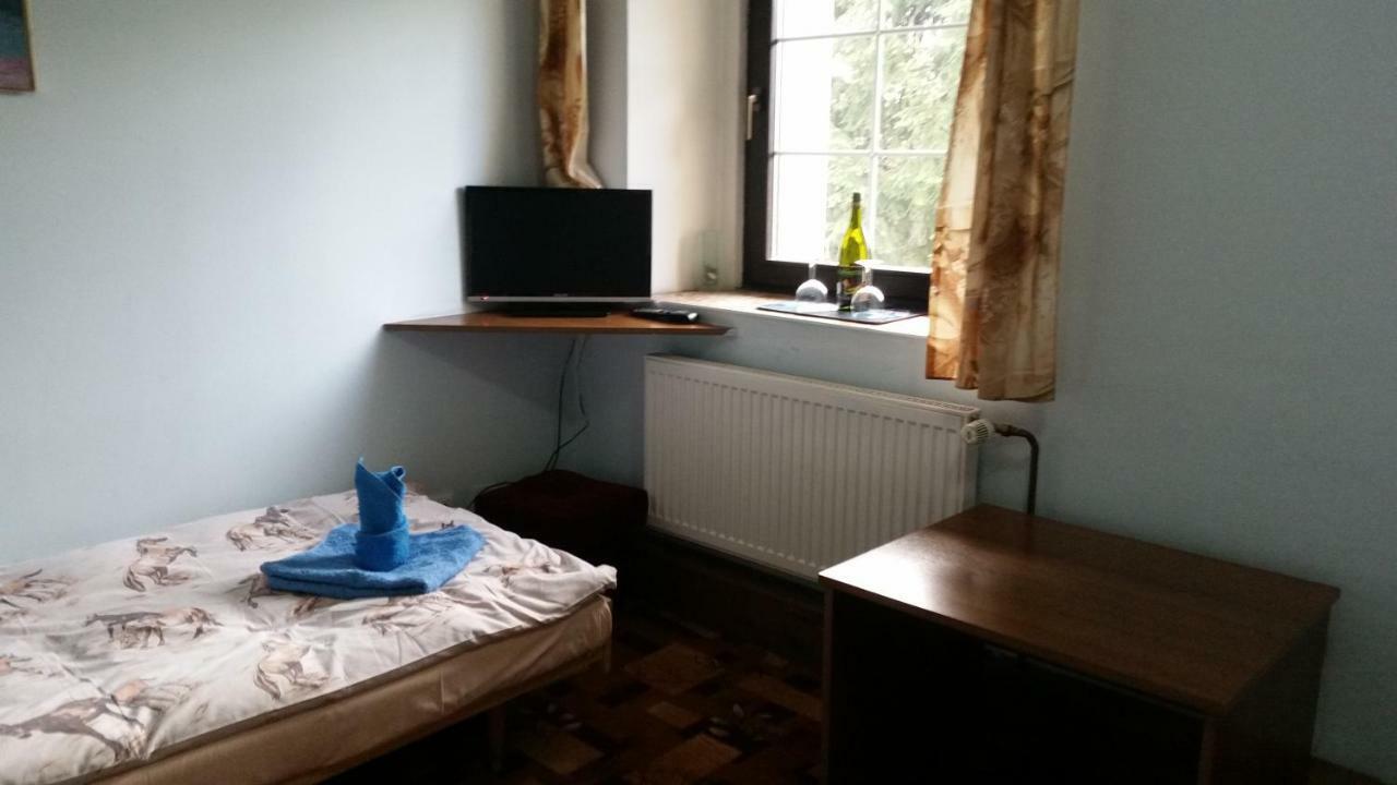Penzion Pegas Depoltovice Nová Role Buitenkant foto