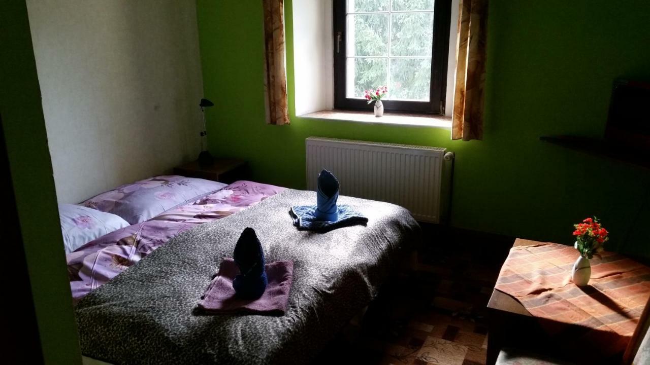 Penzion Pegas Depoltovice Nová Role Buitenkant foto