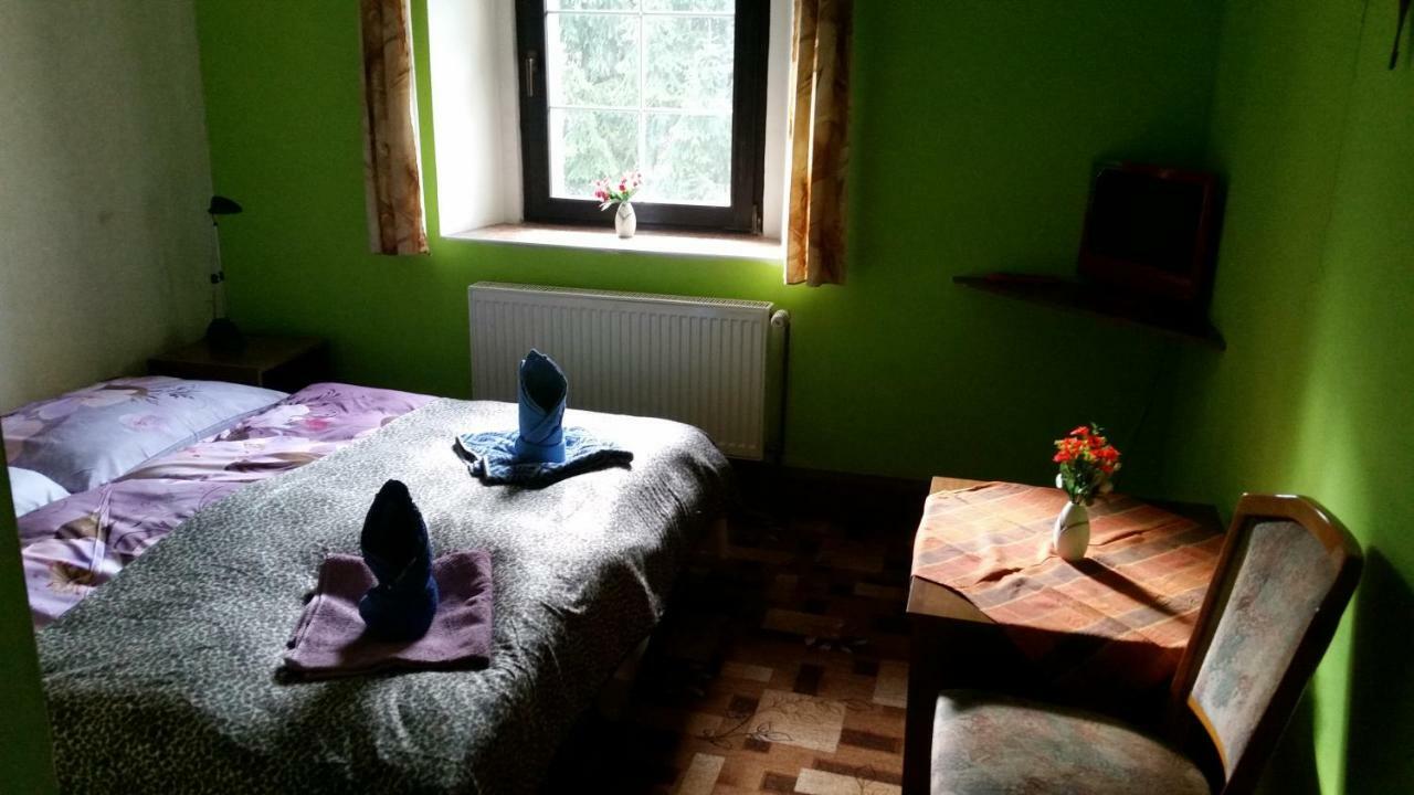 Penzion Pegas Depoltovice Nová Role Buitenkant foto