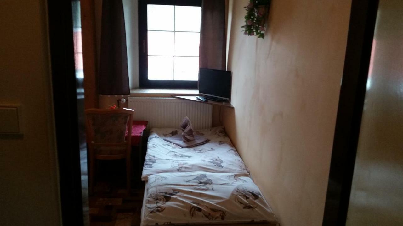 Penzion Pegas Depoltovice Nová Role Buitenkant foto