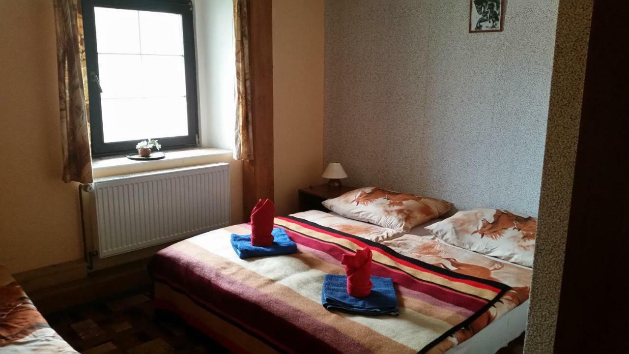 Penzion Pegas Depoltovice Nová Role Buitenkant foto